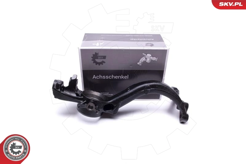 Steering Knuckle, wheel suspension